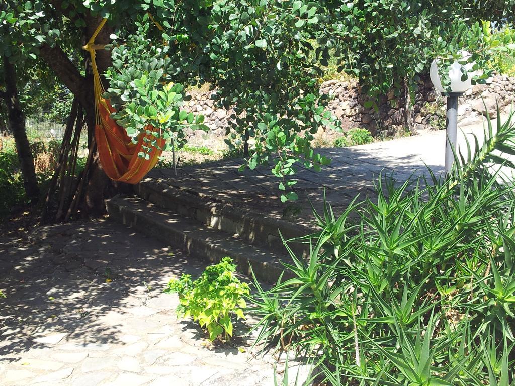 Villa Maria Dorgali Rom bilde