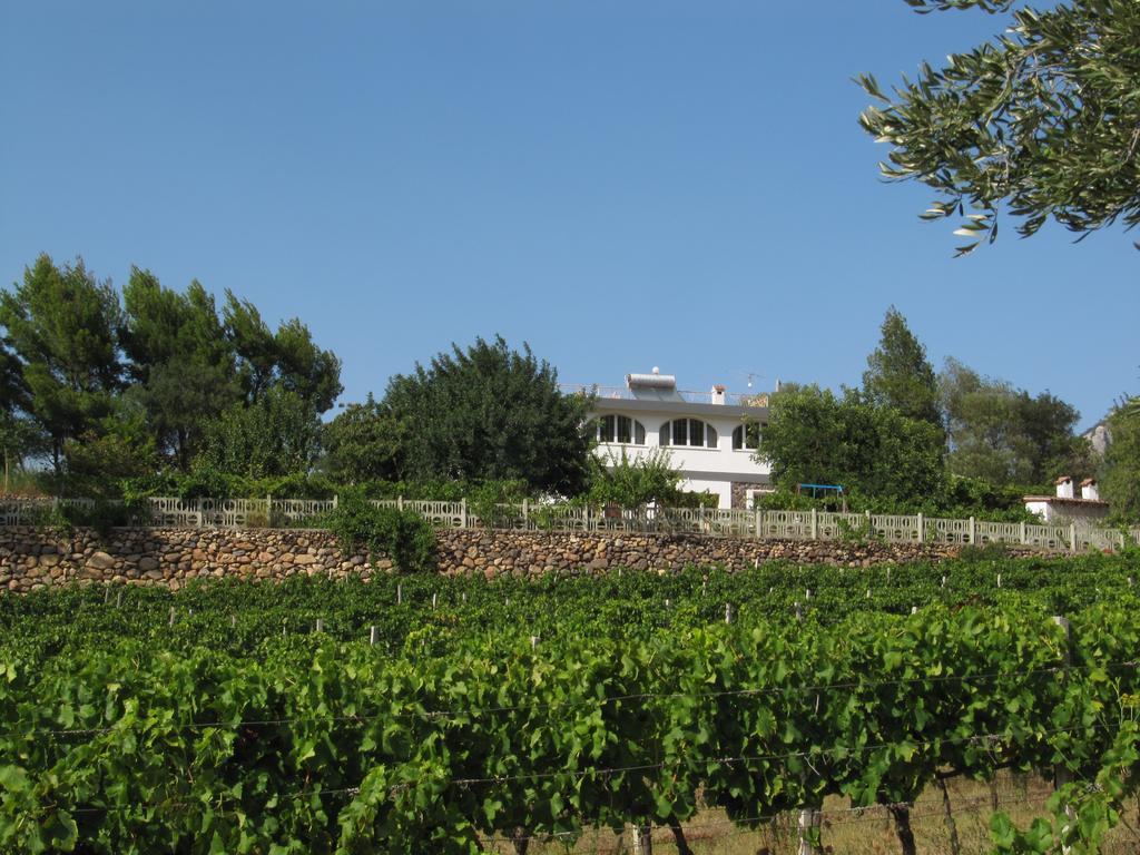 Villa Maria Dorgali Eksteriør bilde